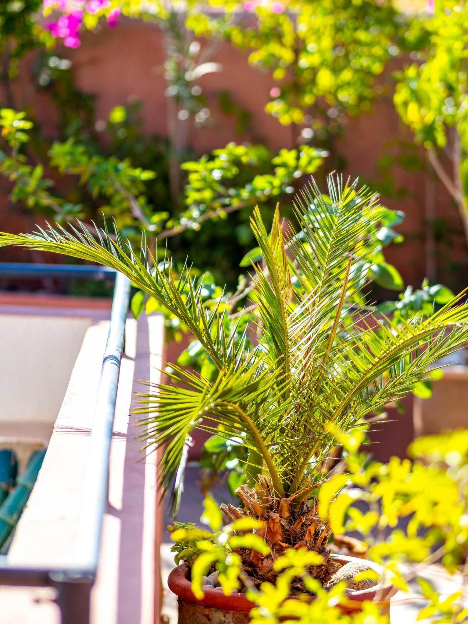 Riad L'Orange Bleue Marrakesh Eksteriør billede